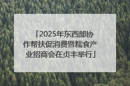 2025年东西部协作帮扶促消费暨糯食产业招商会在贞丰举行