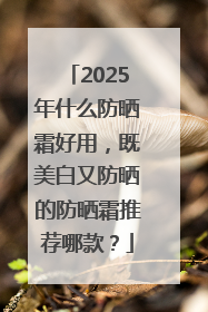 2025年什么防晒霜好用，既美白又防晒的防晒霜推荐哪款？