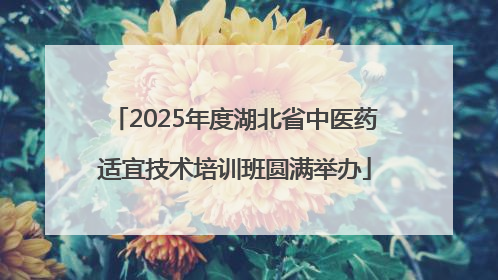2025年度湖北省中医药适宜技术培训班圆满举办