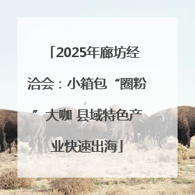 2025年廊坊经洽会：小箱包“圈粉”大咖 县域特色产业快速出海