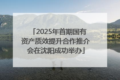 2025年首期国有资产质效提升合作推介会在沈阳成功举办