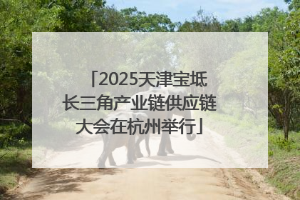 2025天津宝坻长三角产业链供应链大会在杭州举行