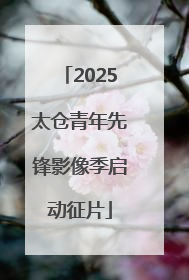 2025太仓青年先锋影像季启动征片