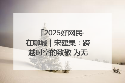 2025好网民·在聊城｜宋建果：跨越时空的致敬 为无名烈士“正名”
