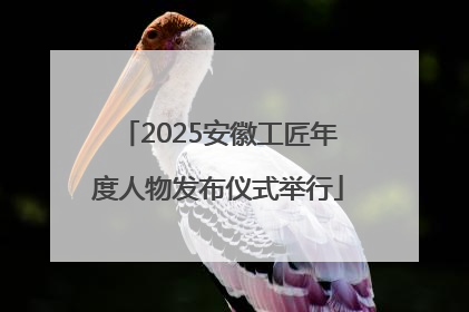 2025安徽工匠年度人物发布仪式举行