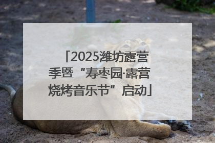 2025潍坊露营季暨“寿枣园·露营烧烤音乐节”启动