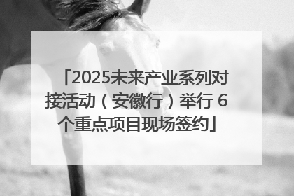 2025未来产业系列对接活动（安徽行）举行 6个重点项目现场签约