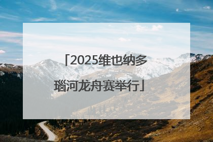 2025维也纳多瑙河龙舟赛举行