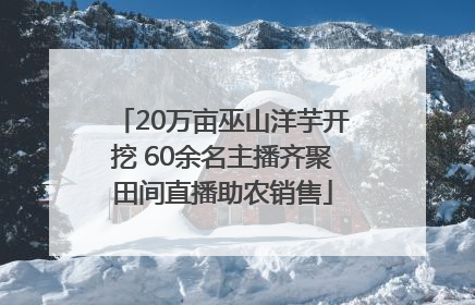 20万亩巫山洋芋开挖 60余名主播齐聚田间直播助农销售