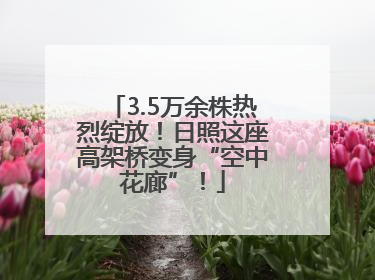 3.5万余株热烈绽放！日照这座高架桥变身“空中花廊”！