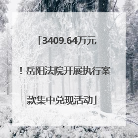 3409.64万元！岳阳法院开展执行案款集中兑现活动