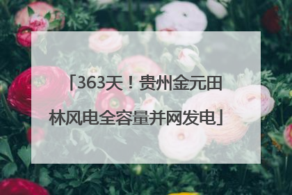 363天！贵州金元田林风电全容量并网发电