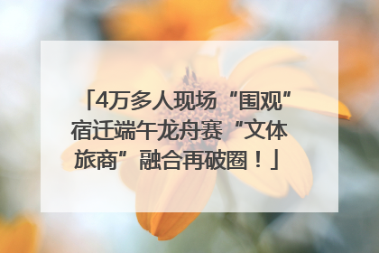 4万多人现场“围观” 宿迁端午龙舟赛“文体旅商”融合再破圈！