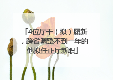 4位厅干（拟）履新，跨省调整不到一年的他拟任正厅新职