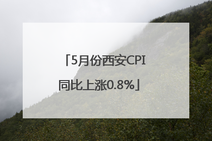 5月份西安CPI同比上涨0.8%