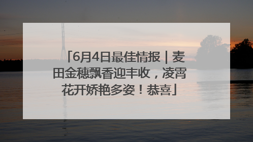 6月4日最佳情报｜麦田金穗飘香迎丰收，凌霄花开娇艳多姿！恭喜