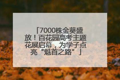 7000株金葵盛放！百花园高考主题花展启幕，为学子点亮“魁首之路”