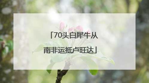 70头白犀牛从南非运抵卢旺达