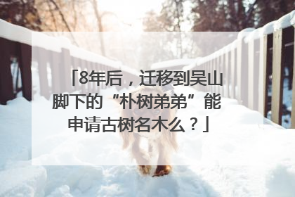 8年后，迁移到吴山脚下的“朴树弟弟”能申请古树名木么？