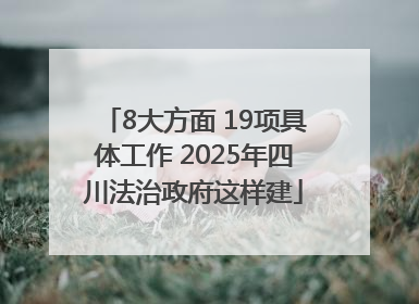 8大方面 19项具体工作 2025年四川法治政府这样建