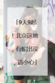 9天9起！北京这地，有蛇出没，请小心