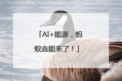 AI+能源，蚂蚁鑫能来了！
